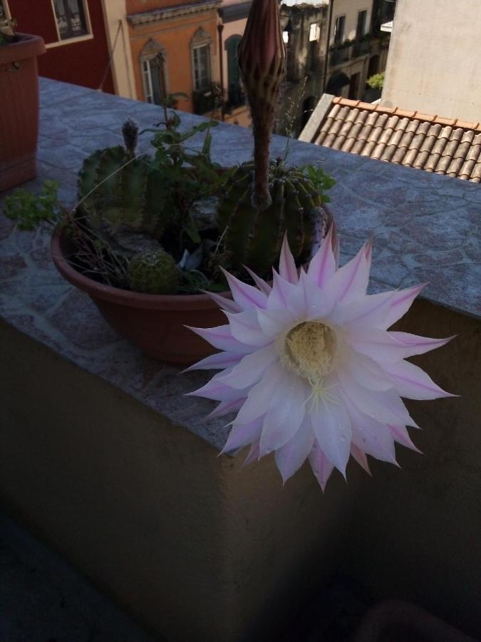 B&B antica città Cagliari Esterno foto